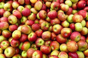 Apple prehrana za mršavljenje